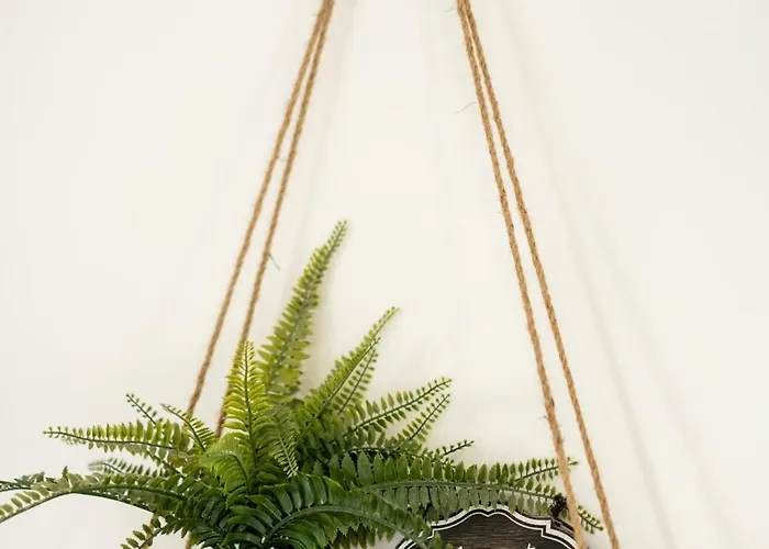 Le Comble Du Bonheur * Cinqueux